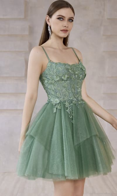 Jadore Evening Short Party Dress Style J28086