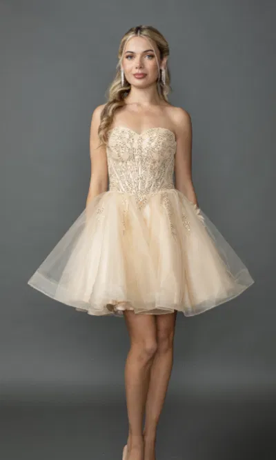 Home 6 Dancing Queen Short Party Dress Style 3430 in Champagne